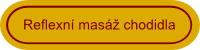  Reflexní masáž  chodidla